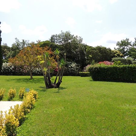 Ginkgo Studio - Piscine, Proche De La Mer, Golf, Wifi มองเดอลิเยอลานาปูล ภายนอก รูปภาพ